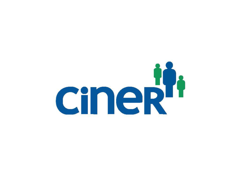 ciner grubu