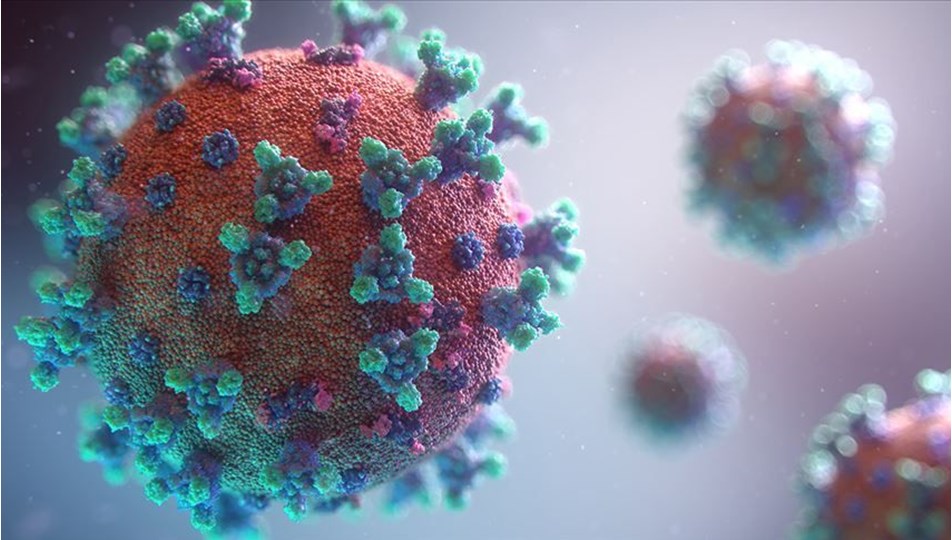 ABD'de koronavirüsün mutasyonlu yeni türü görüldü