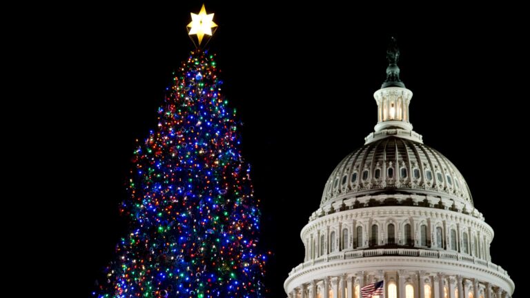 Salgın ve Ekonomik Zorlukların Gölgesinde Noel Bayramı