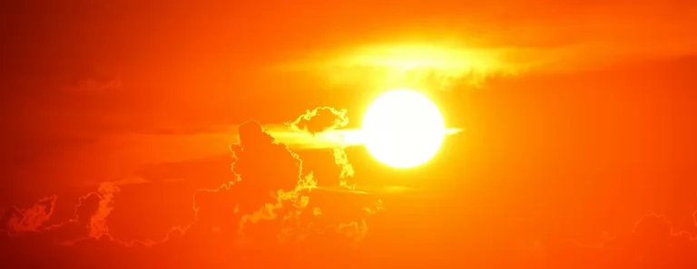 Dünya genelinde son 7 yıl ‘en sıcak yıllar’ olarak kayıtlara geçti