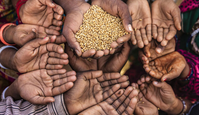 FAO, savaşın gölgesinde yeni küresel gıda risk senaryolarını açıkladı