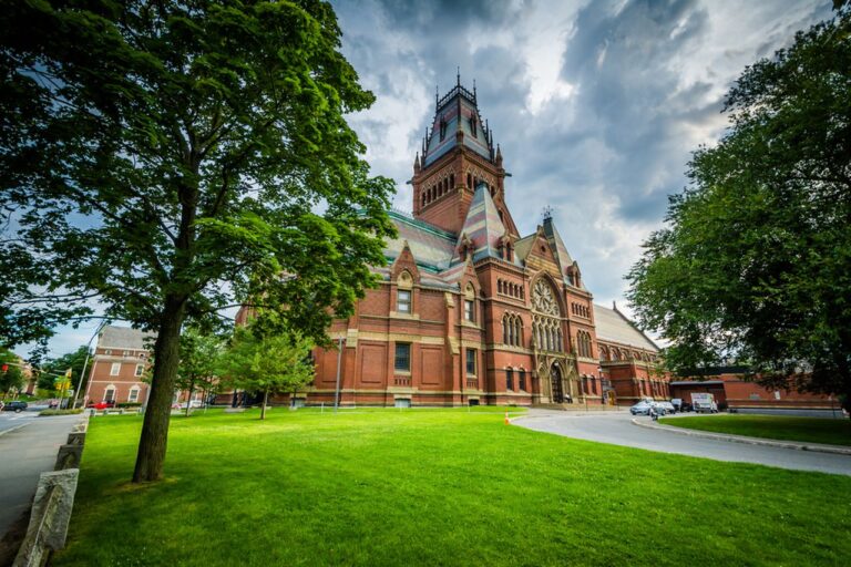 Harvard Üniversitesi, geçmişte köle çalıştırdığı için 100 milyon dolar bağışlayacak 