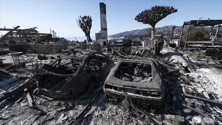 California Valisi, yangınlardan etkilenen Los Angeles için Kongreden yaklaşık 40 milyar dolar yardım istedi